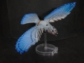 Tail Feathers - Birds - Blue Jay 02
