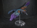 Tail Feathers - Birds - Rook 03